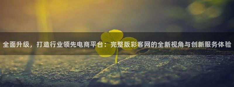 u8国际集团引商