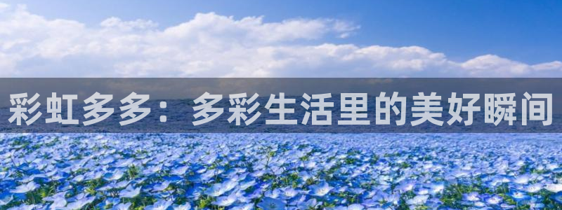 u8国际设计焕新上线.页面浏览.中国：彩虹多多：多彩生活里的美好瞬间