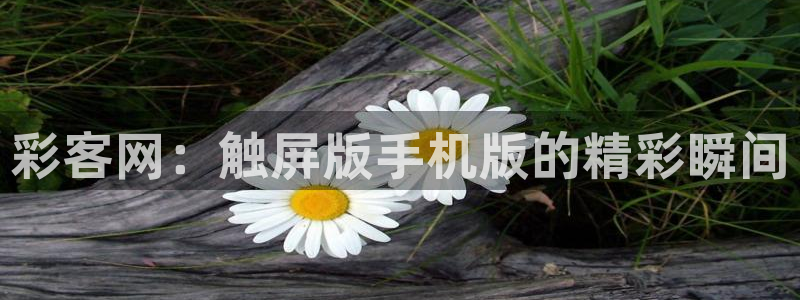 u8国际集团：彩客网：触屏版手机版的精彩瞬间
