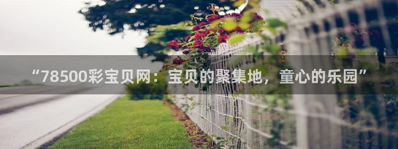 u8国际界面申领：“78500彩宝贝网：宝贝的聚集地，童心的乐园”